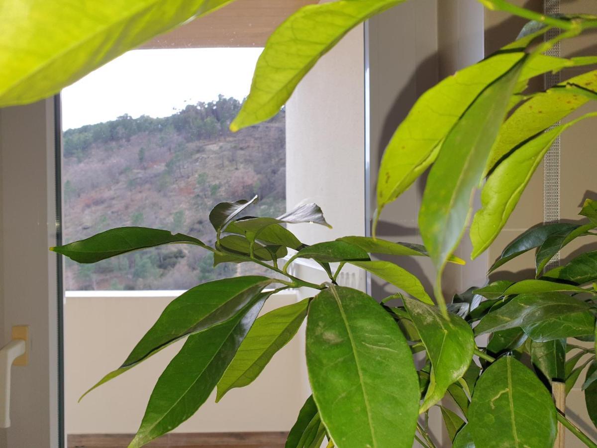 Altavista Penthouse T2 Διαμέρισμα Covilhã Εξωτερικό φωτογραφία
